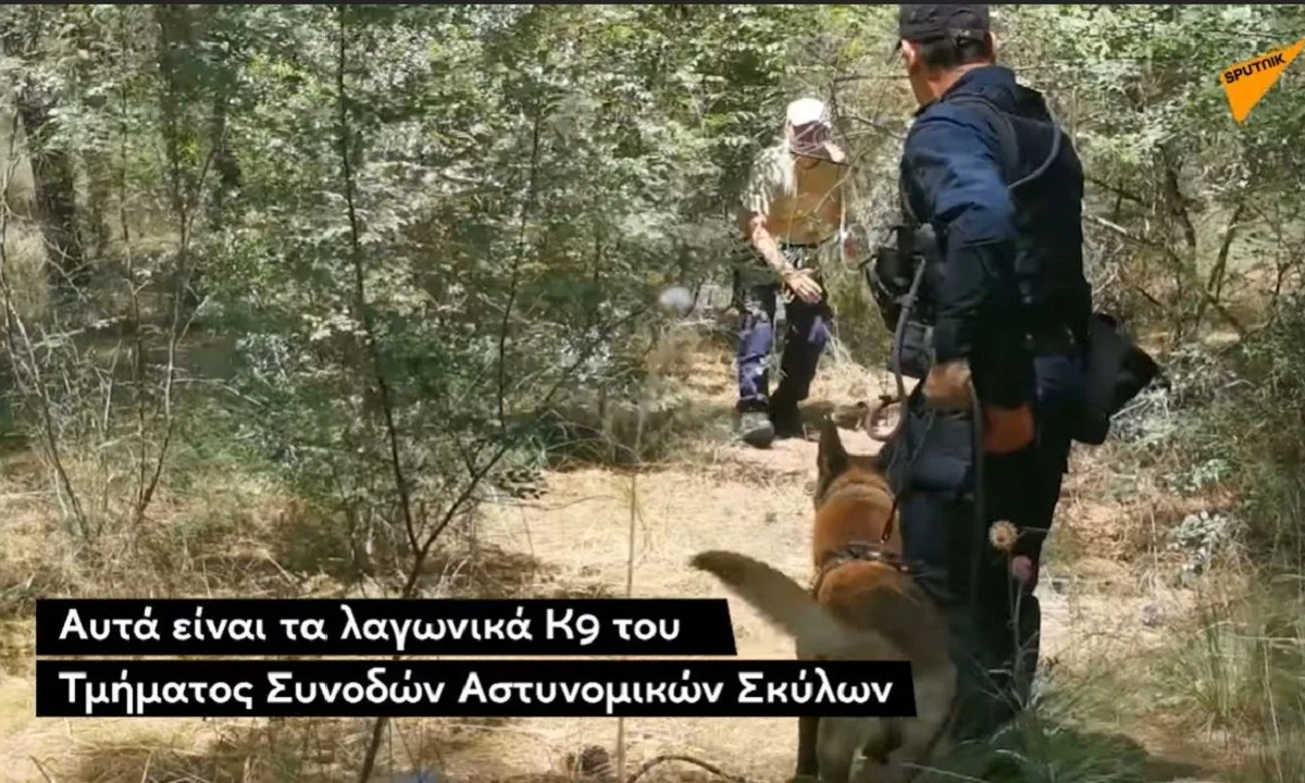Θεσσαλονίκη: Τα  λαγωνικά Κ9 που κυνηγούν το έγκλημα (vid)