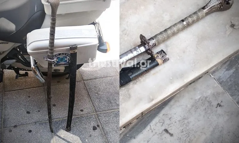 Θεσσαλονίκη: Σύλληψη Γεωργιανού με σπαθί Σαμουράι!