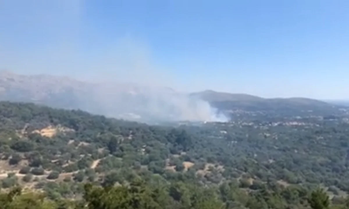 Ανεξέλεγκτη η φωτιά στην περιοχή ΒΙΑΛ στη Χίο - Δύο χωριά εκκενώνονται (pic-vids)