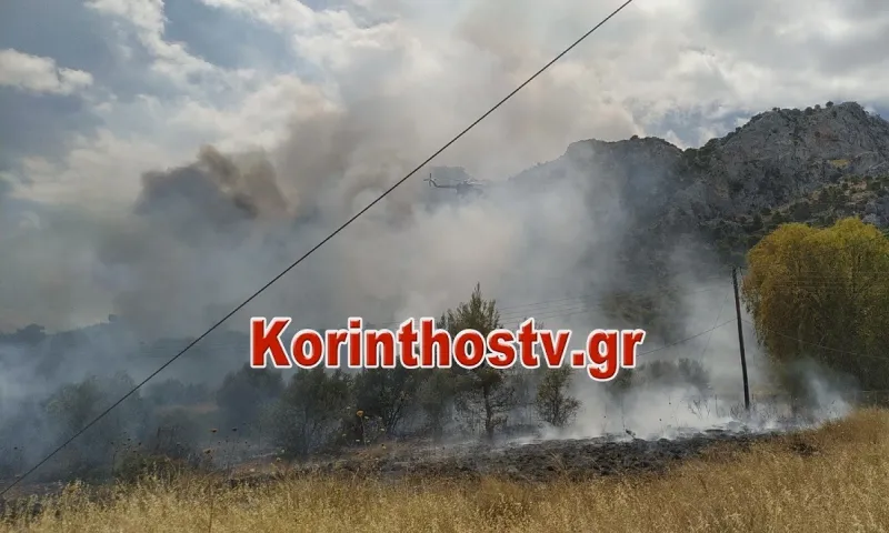 Κόρινθος: Μεγάλη η πυρκαγιά στις Κεχριές – Εκκενώθηκε κατασκήνωση
