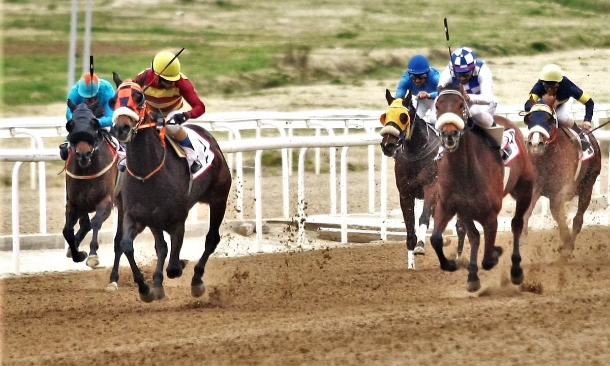 Markopoulo Park: Τζακ ποτ 100.000 ευρώ στο ΣΚΟΡ 6