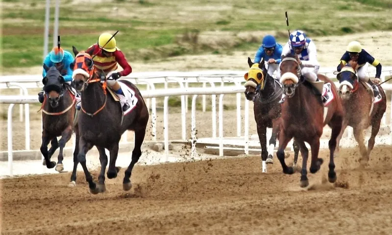 Markopoulo Park: Τζακ ποτ 100.000 ευρώ στο ΣΚΟΡ 6
