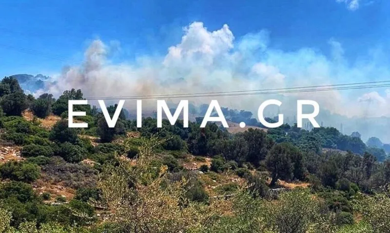 Πυρκαγιά στην Εύβοια: Εκκενώθηκε προληπτικά οικισμός