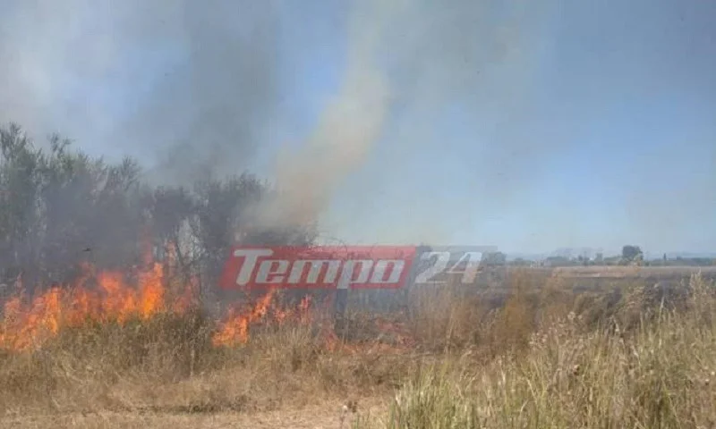 Φωτιά με διάσπαρτα μέτωπα στη δυτική Αχαΐα (vid)