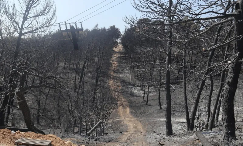 Στοιχεία για επιχείρηση συγκάλυψης ευθυνών της τραγωδίας στο Μάτι – Διαψεύδει η Γεροβασίλη