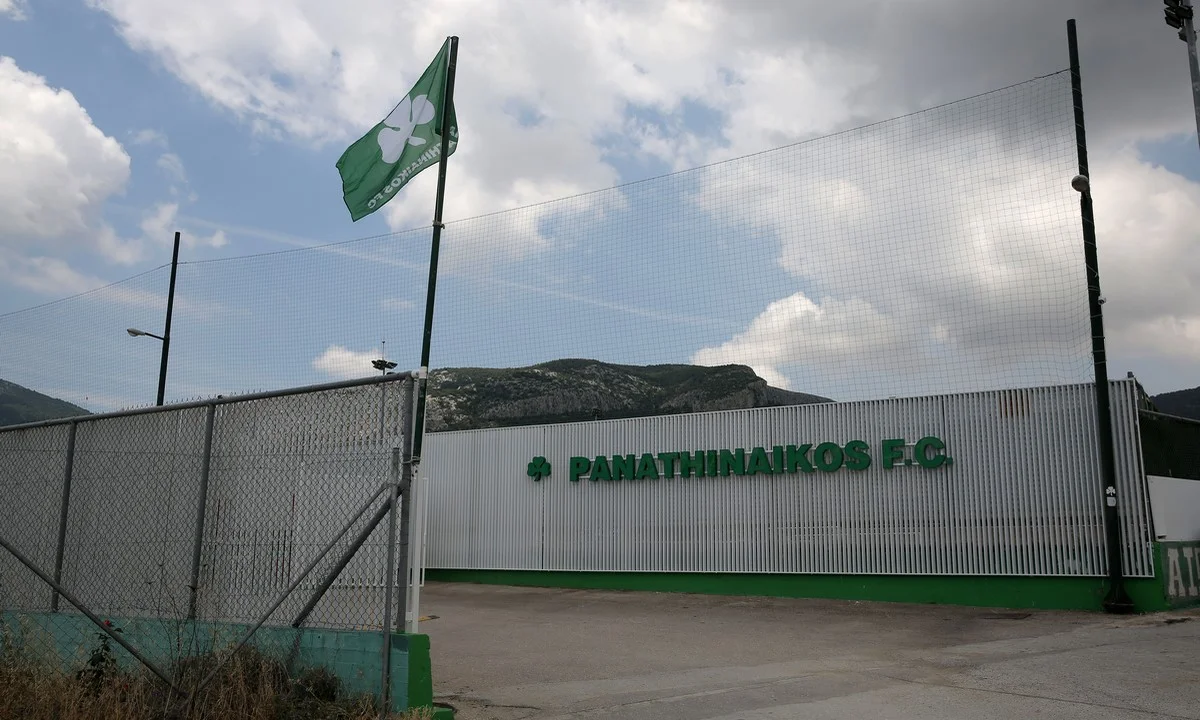 Παναθηναϊκός: Το οργανόγραμμα της ακαδημίας