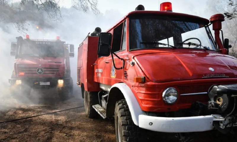Ηλεία: Νέα φωτιά στα Ζαχαρέικα