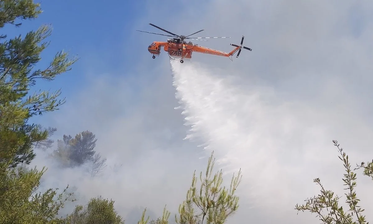 Κεφαλονιά - φωτιά: Προσπάθειες να περιοριστούν οι φλόγες (vid)