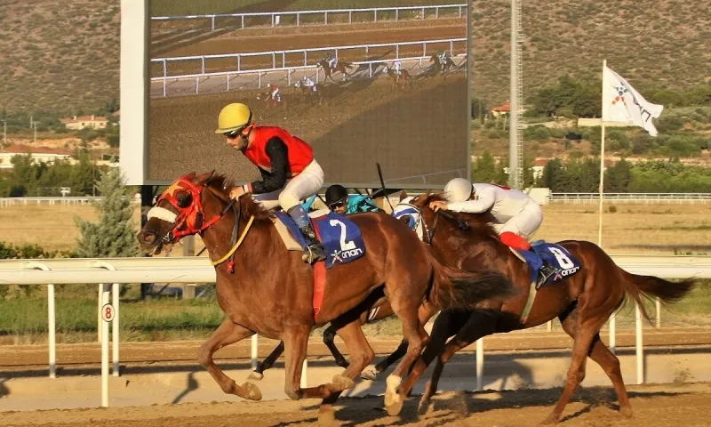 Markopoulo Park: Περισσότερα από 7.000 ευρώ για 7 νικητές στο ΣΚΟΡ 6
