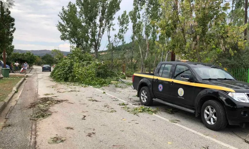 Χαμός στα Τρίκαλα: Ξηλώθηκαν στέγες - Έπεσαν δέντρα (pics)