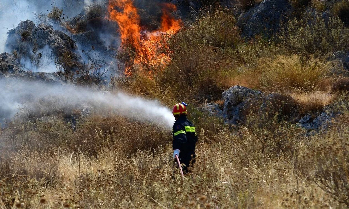 Πυρκαγιά στην Αταλάντη - Πλησιάζει σε σπίτια