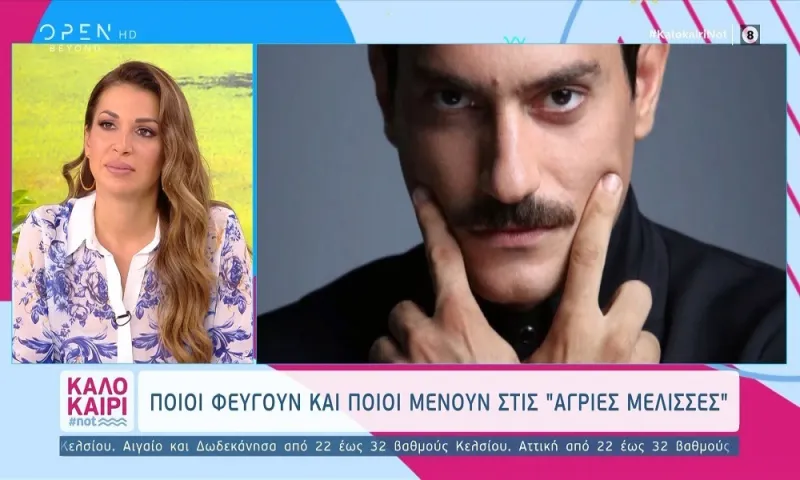 Άγριες Μέλισσες: Ποιοι φεύγουν και ποιοι μένουν