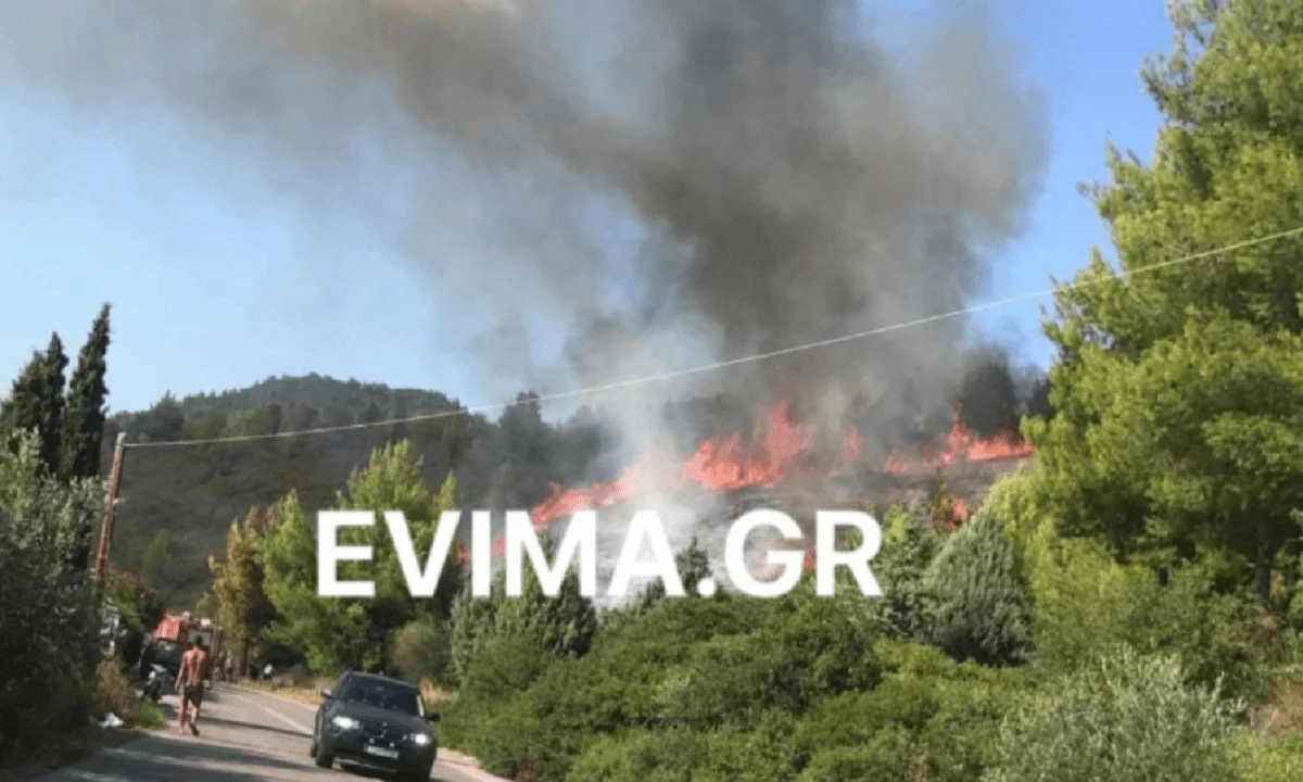 Μεγάλη φωτιά σε δασική έκταση στις Ροβιές Ευβοίας