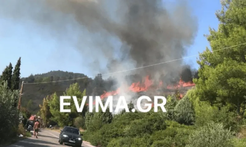 Μεγάλη φωτιά σε δασική έκταση στις Ροβιές Ευβοίας
