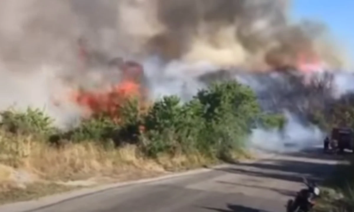 Κέρκυρα: Μαίνεται η φωτιά - Το λιμενικό απομάκρυνε λουόμενους (vid)