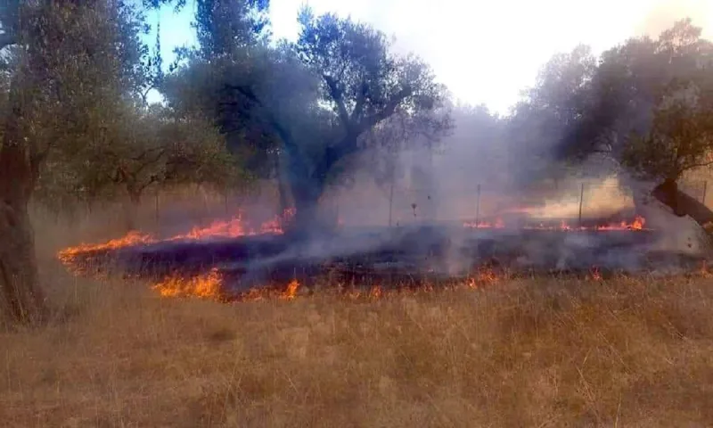 Μόρια: Συνεχίζονται οι «εμπρησμοί» (Pics)