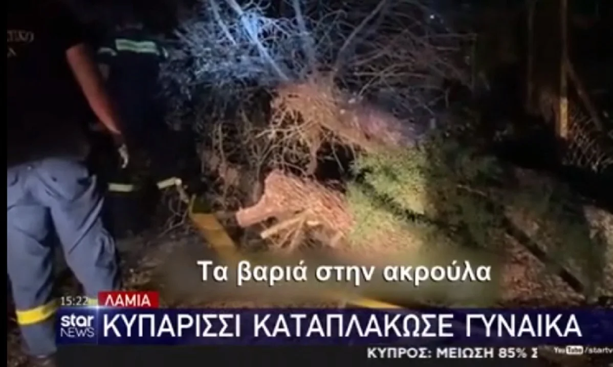 Λαμία: Κυπαρίσσι καταπλάκωσε 57χρονη (vid)