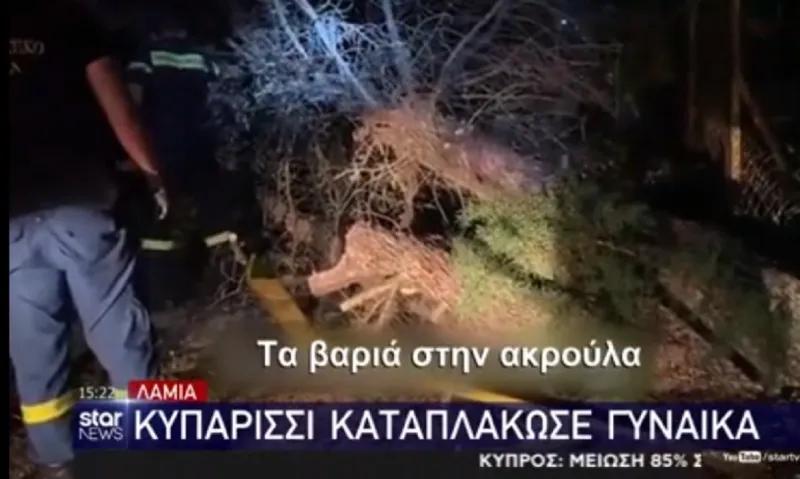 Λαμία: Κυπαρίσσι καταπλάκωσε 57χρονη (vid)