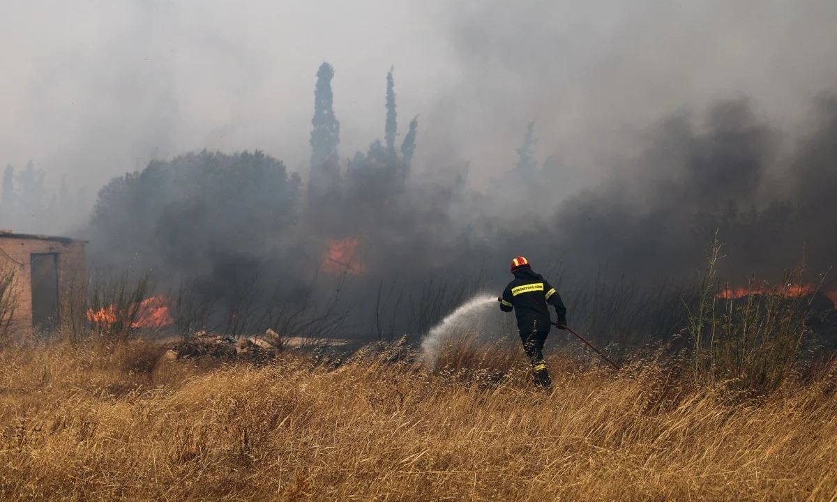 Δήμαρχος Σαρωνικού: Οι οκτώ περιοχές που ζητά να εκκενωθούν - Κάηκαν σπίτια στην Ανάβυσσο (vid)