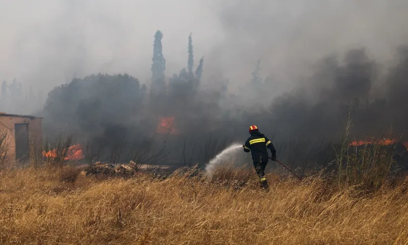 Δήμαρχος Σαρωνικού: Οι οκτώ περιοχές που ζητά να εκκενωθούν - Κάηκαν σπίτια στην Ανάβυσσο (vid)
