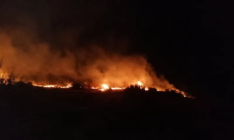 Φωτιά σε Κερατέα - Ανάβυσσο: Ολονύχτια η μάχη με τις φλόγες (vid)