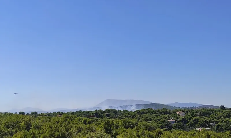 Ραφήνα - Φωτιά: Προληπτική απομάκρυνση των κατοίκων του Οικισμού «Δροσιάς»