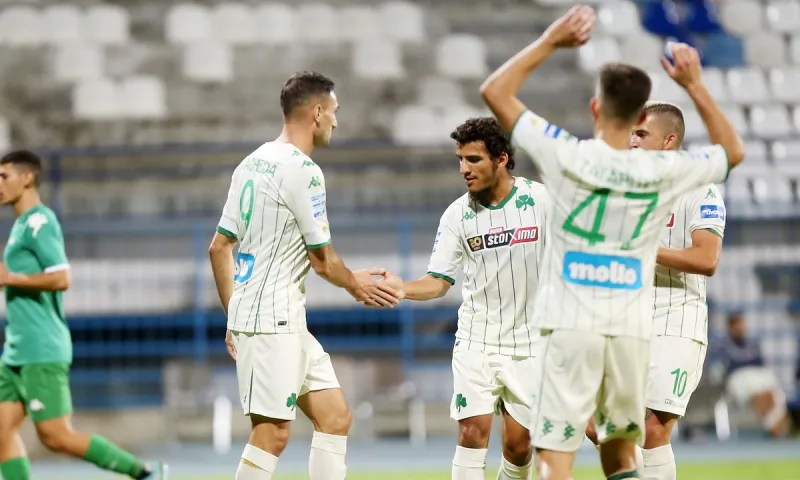 Παναθηναϊκός - Λεβαδειακός 1-0: Σαν να μην έγινε... (vid)