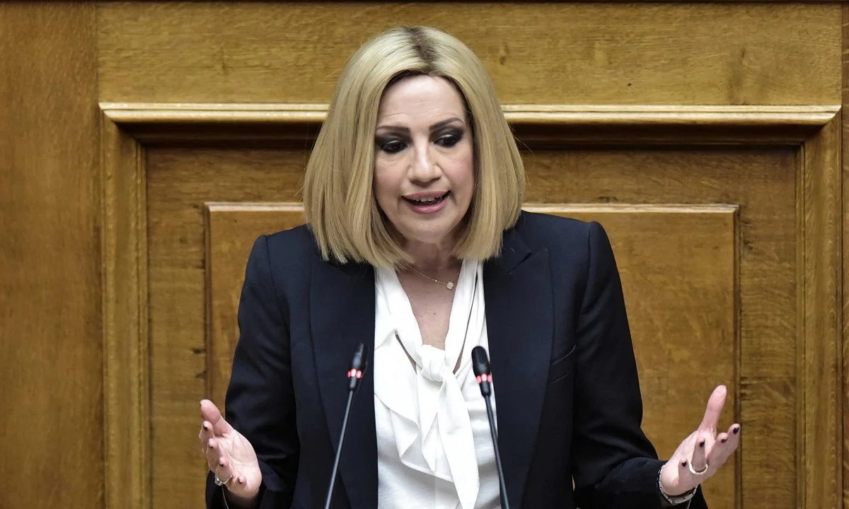 EIHEA: Ανακοίνωση για την τηλεδιάσκεψη με την Πρόεδρο του ΚΙΝΑΛ Φ. Γεννηματά