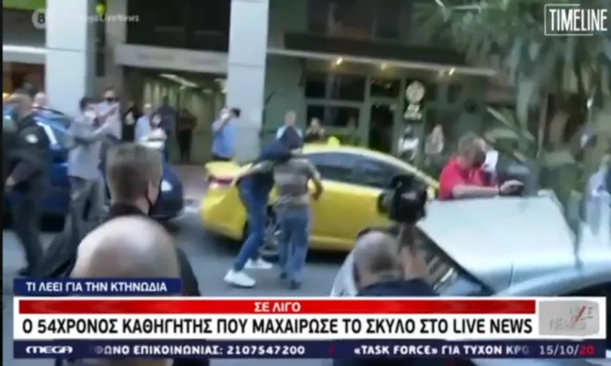 Επίθεση σε σκύλο στη Νίκαια: Πήγαν να λιντσάρουν τον 53χρονο καθηγητή (vid)