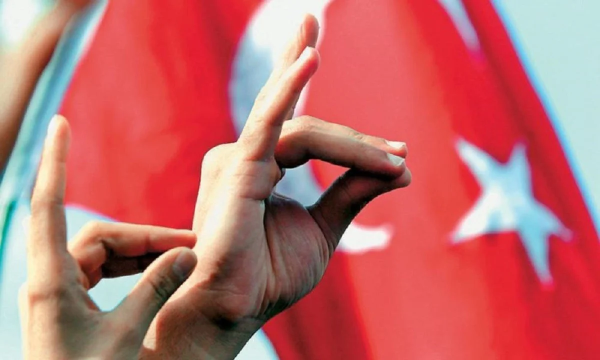 Τούρκοι Γκρίζοι Λύκοι τρομοκρατούν γαλλική πόλη - «Τραμπουκίζουν» Αρμένιους και Γάλλους
