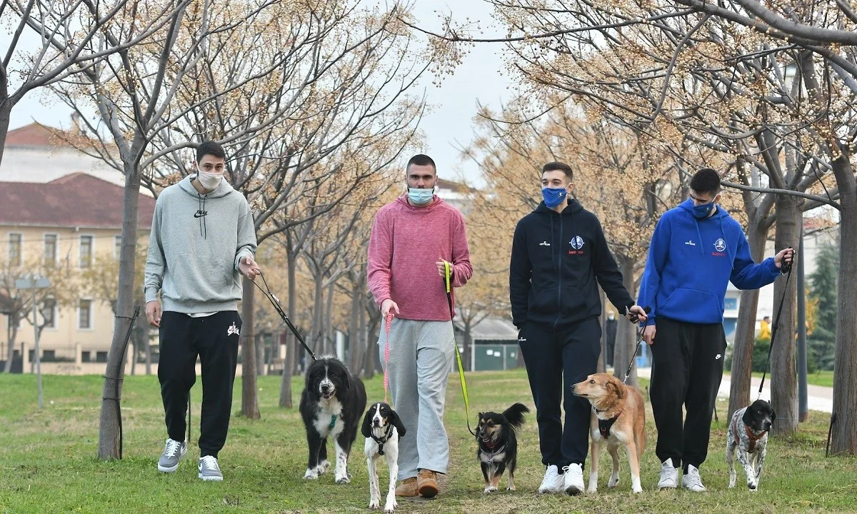Λάρισα: «Πρόσφερε φροντίδα και λάβε την άδολη αγάπη»