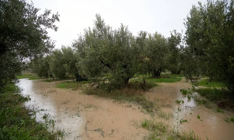 Σέρρες - Χαλκιδική: «Βούλιαξαν» λόγω ισχυρής βροχόπτωσης - Ποιοι δρόμοι είναι κλειστοί