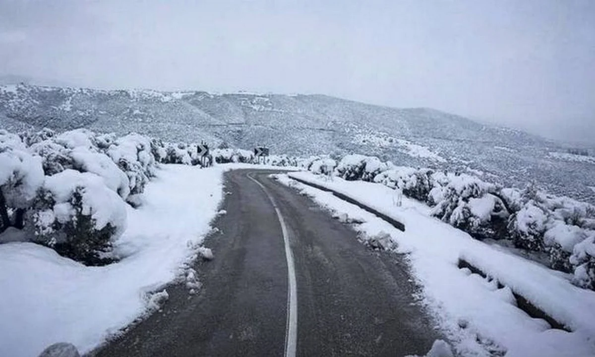 Αρνιακός: Που προβλέπει ότι θα χιονίσει σήμερα!