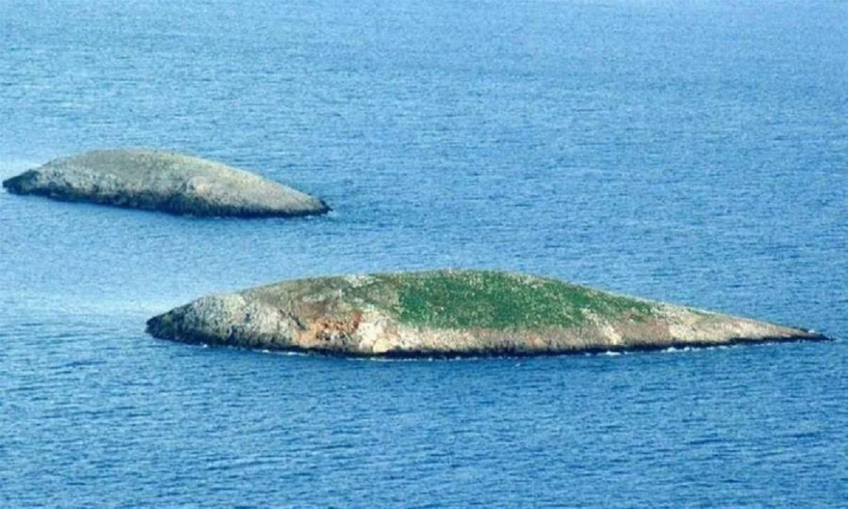 Ίμια: Γιατί παρόντας καπετάνιος πιστεύει ότι έριξαν στο ελικόπτερο - Το μαύρο κουτί