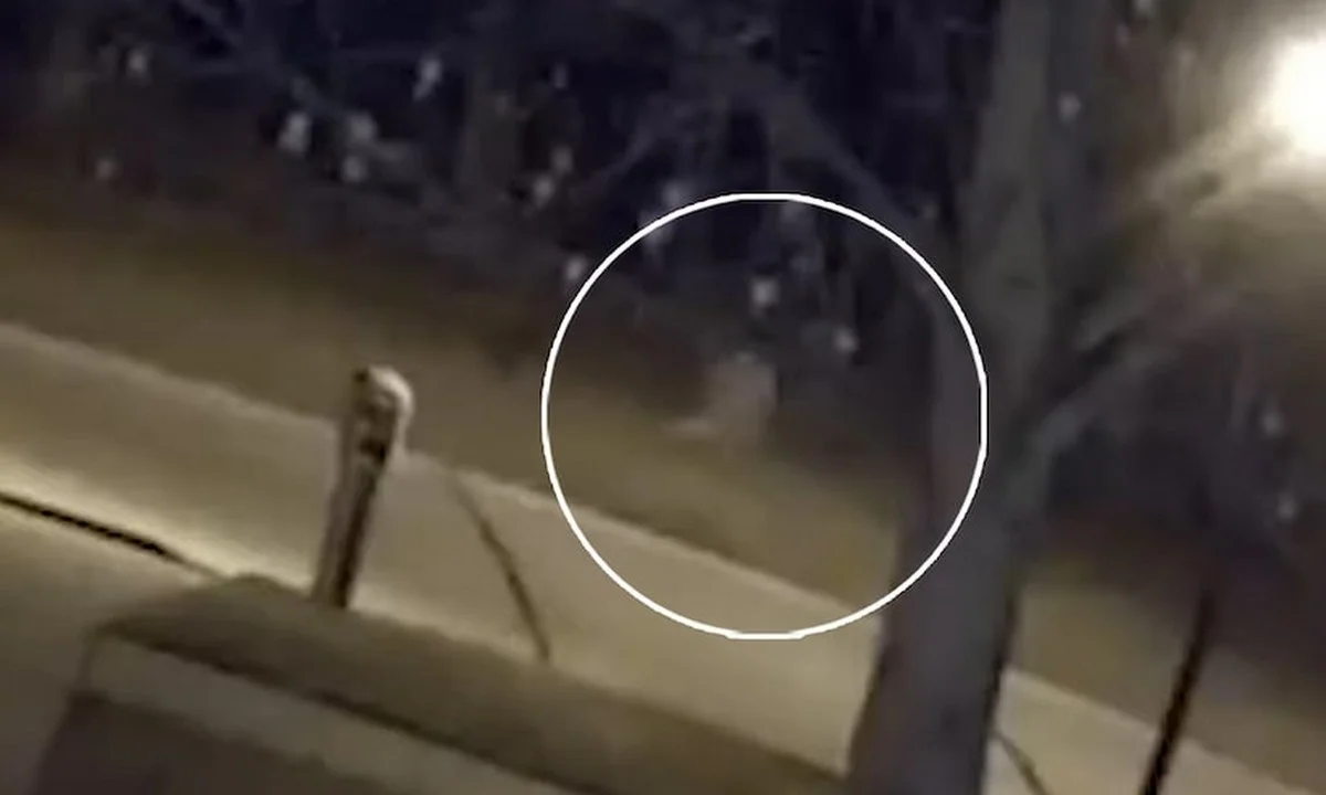 Αξιοπερίεργα - ΗΠΑ: Kάμερα κατέγραψε φάντασμα να τρέχει στο Οχάιο (vid)