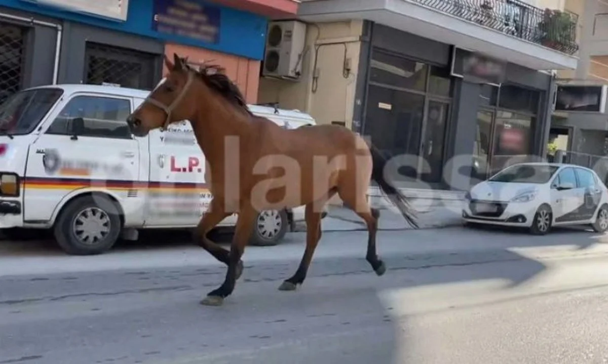 Λάρισα: Η... τρελή πορεία ενός αλόγου μέσα στην... καρδιά της πόλης (vid)