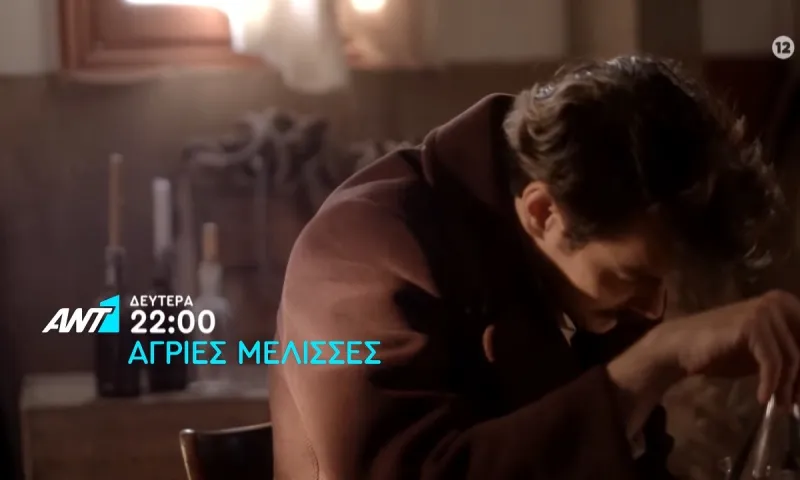 Άγριες Μέλισσες Spoiler 12/4: Συντετριμμένος ο Κωνσταντής (vid)