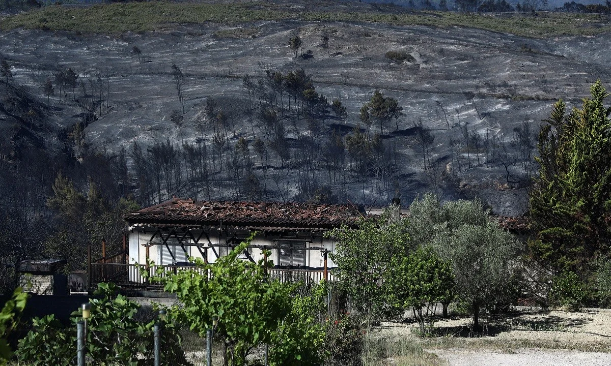 Φωτιά Κορινθία - Χαρδαλιάς: «Κάηκαν πάνω από 40.000 στρέμματα δάσους – Καταστροφές σε σπίτια»