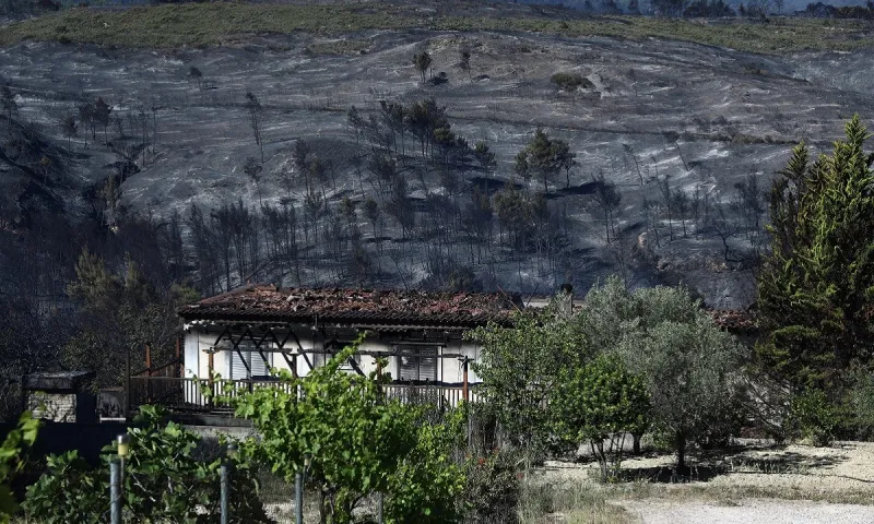 Φωτιά Κορινθία - Χαρδαλιάς: «Κάηκαν πάνω από 40.000 στρέμματα δάσους – Καταστροφές σε σπίτια»