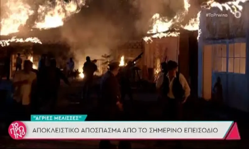 Άγριες Μέλισσες Spoiler 2/6: Η συγκλονιστική νύχτα στο Διαφάνι