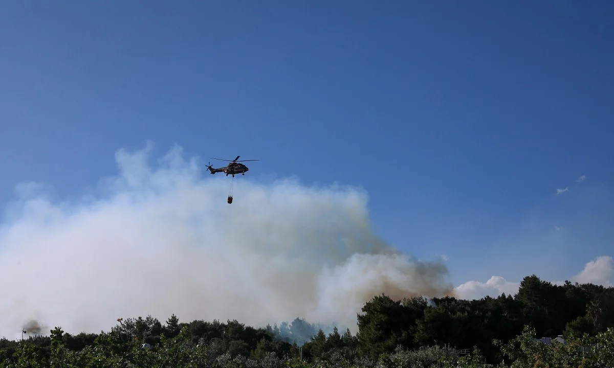 Φωτιά στα Μέγαρα: Συναγερμός στην Πυροσβεστική - Καίει δασική έκταση