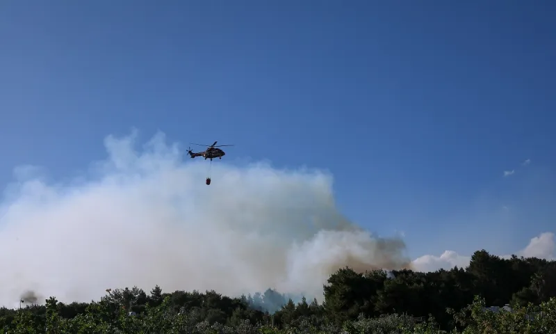 Φωτιά στα Μέγαρα: Συναγερμός στην Πυροσβεστική - Καίει δασική έκταση