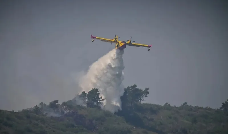 Φωτιά στον Αυλώνα: Μεγάλη κινητοποίηση της Πυροσβεστικής
