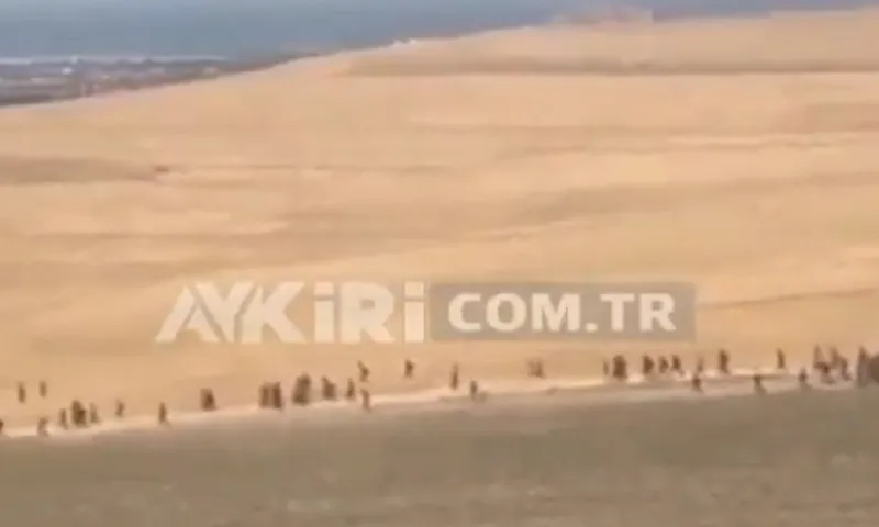Toύρκοι: Δεχόμαστε εισβολή από Αφγανούς - Δεν είναι πρόσφυγες είναι εισβολείς