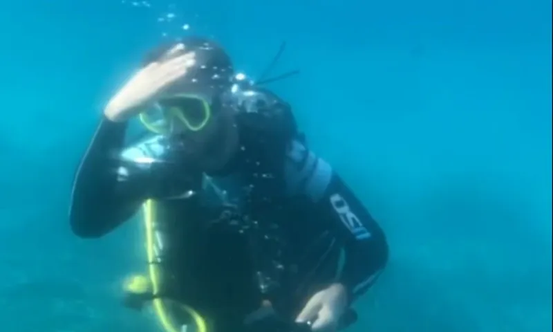 Γιάννης Τσιμιτσέλης: Έκανε κατάδυση...με τα μαλλιά «καρφάκια»