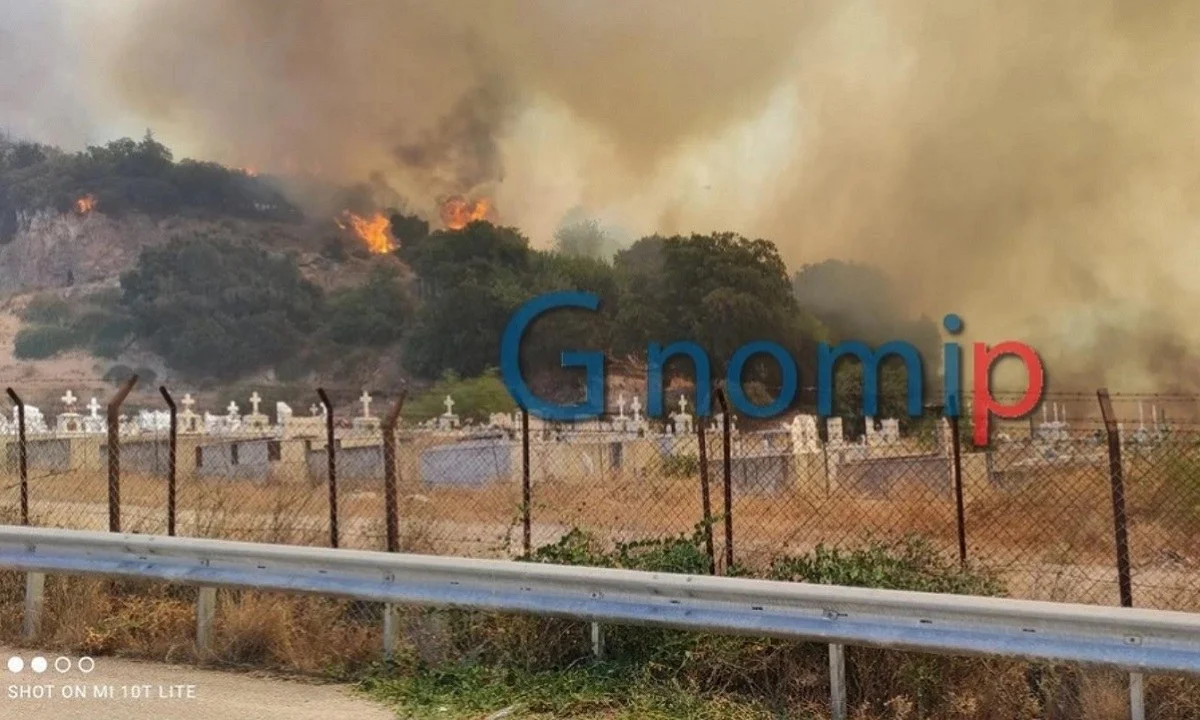 Φωτιά στο Σούλι: «Τον πο@στ@ που βγήκε» - Η στιγμή που αστυνομικοί απομακρύνουν πολίτες από τα σπίτια τους (vid)