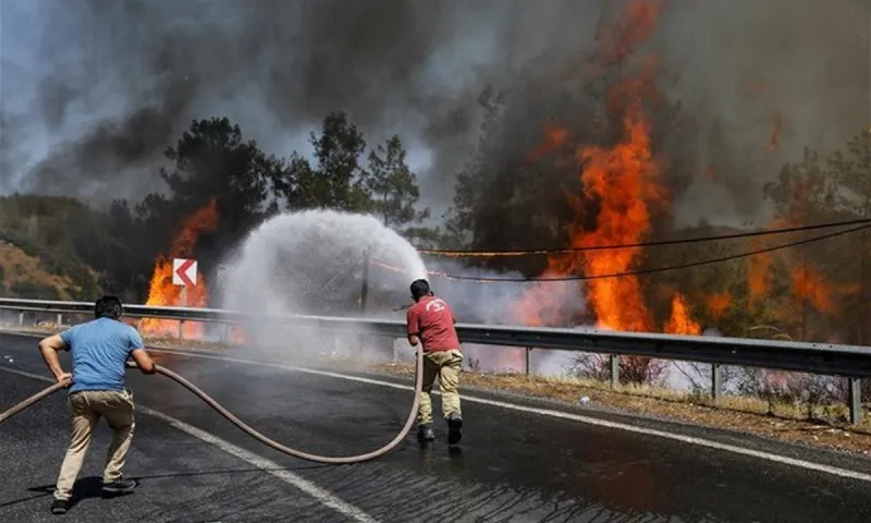 Τουρκία: Στους 8 οι νεκροί από τις καταστροφικές πυρκαγιές - Τα έβαλαν με τον Ερντογάν