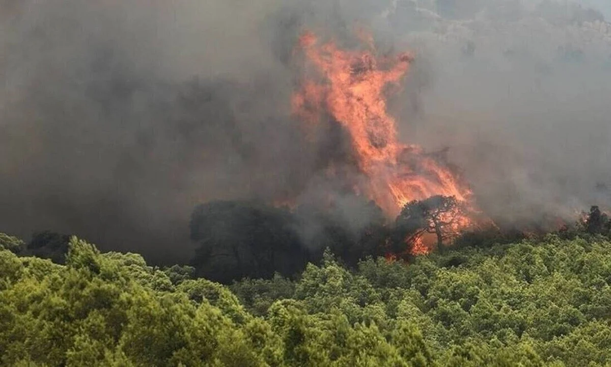 Σε πύρινο κλοιό Μεσσηνία και Μάνη – Τεράστιες καταστροφές σε εκτάσεις με ελιές και αμπελώνες!
