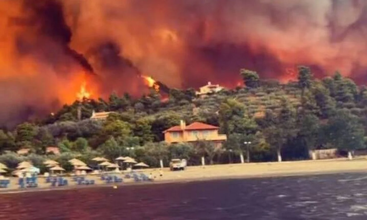 Φωτιά Εύβοια: Ο εφιάλτης συνεχίζεται - Νέο μέτωπο στην Δάφνη, κοντά στις Ροβιές