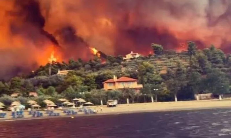 Φωτιά Εύβοια: Ο εφιάλτης συνεχίζεται - Νέο μέτωπο στην Δάφνη, κοντά στις Ροβιές